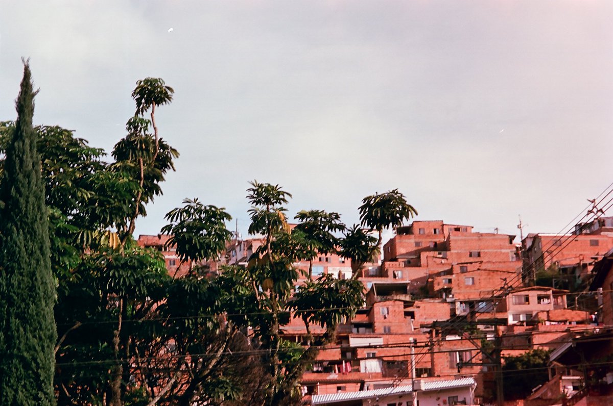 mdemabs's tweet photo. analogs de medellín https://t.co/dawyiVv4Q3