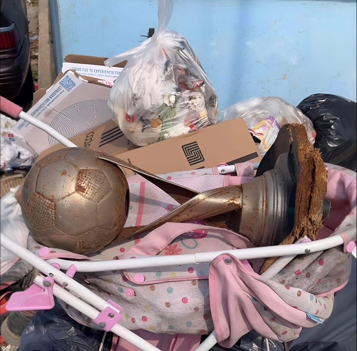 Laura 🎀🐐 tweet media