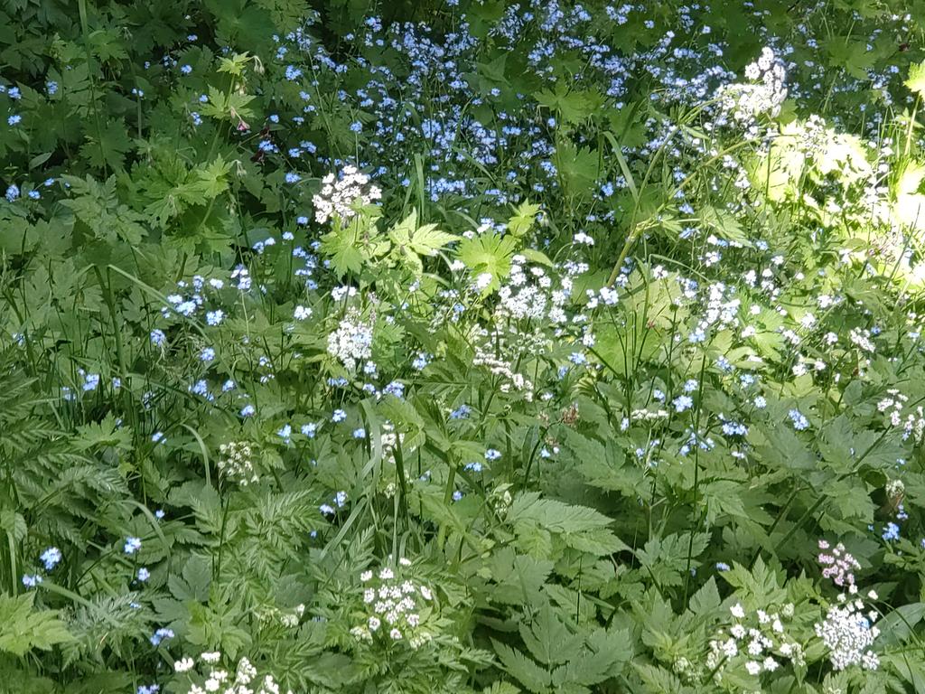 cheerssu's tweet photo. Out in the #forest
#steiermarkliebe #May2025
@StormHour @ThePhotoHour https://t.co/F71JaMbplB