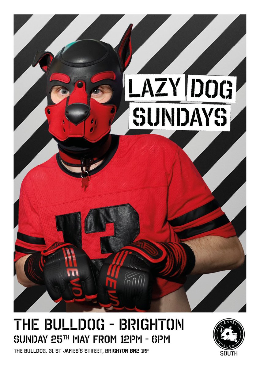 Pups. Pets &amp; Critters! Get ready because next week, is our 3rd Birthday party 🎉 🎊🎉 So do come join us to celebrate! wag those tails and make noise with us on the 25th of May at the bulldog. see you all soon! ✨✨