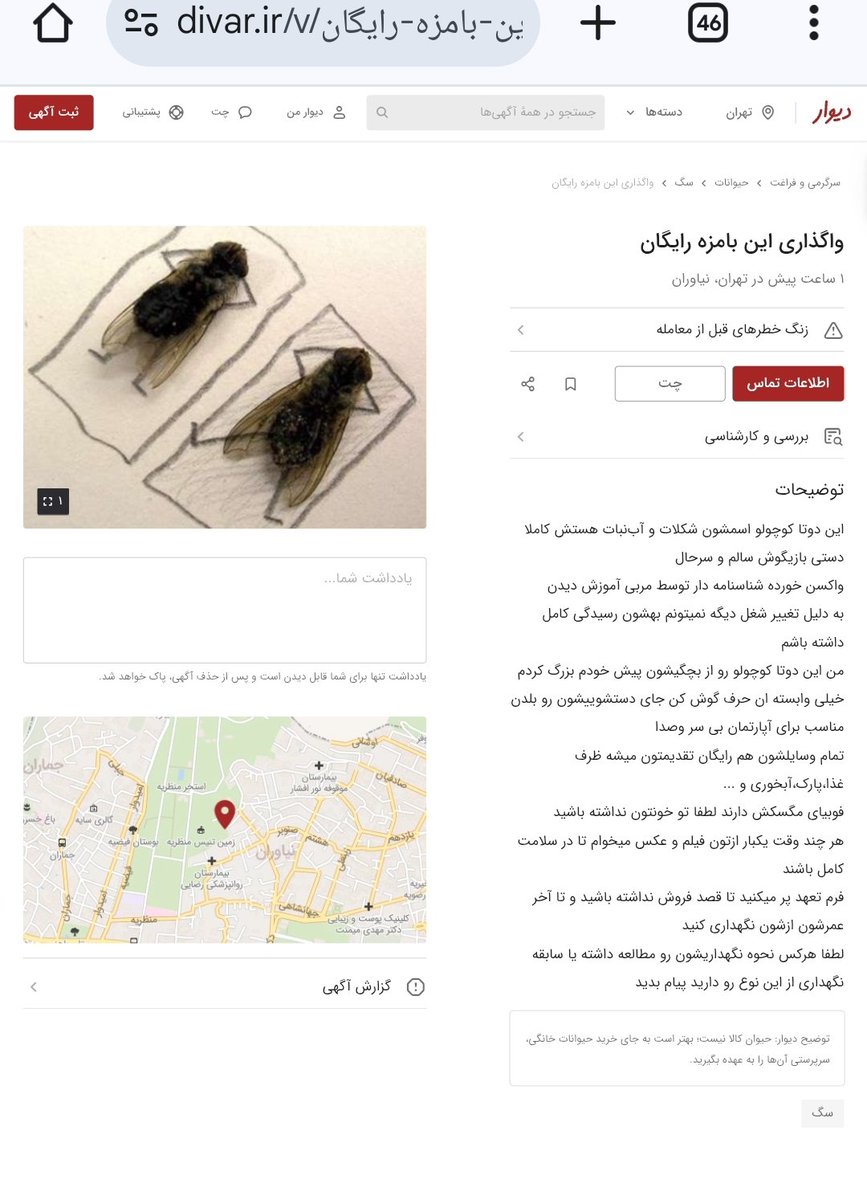 masoud1871's tweet photo. اینم یکی از آگهی‌های عجیب و غریب سایت #دیوار https://t.co/HYlwSuPH9f