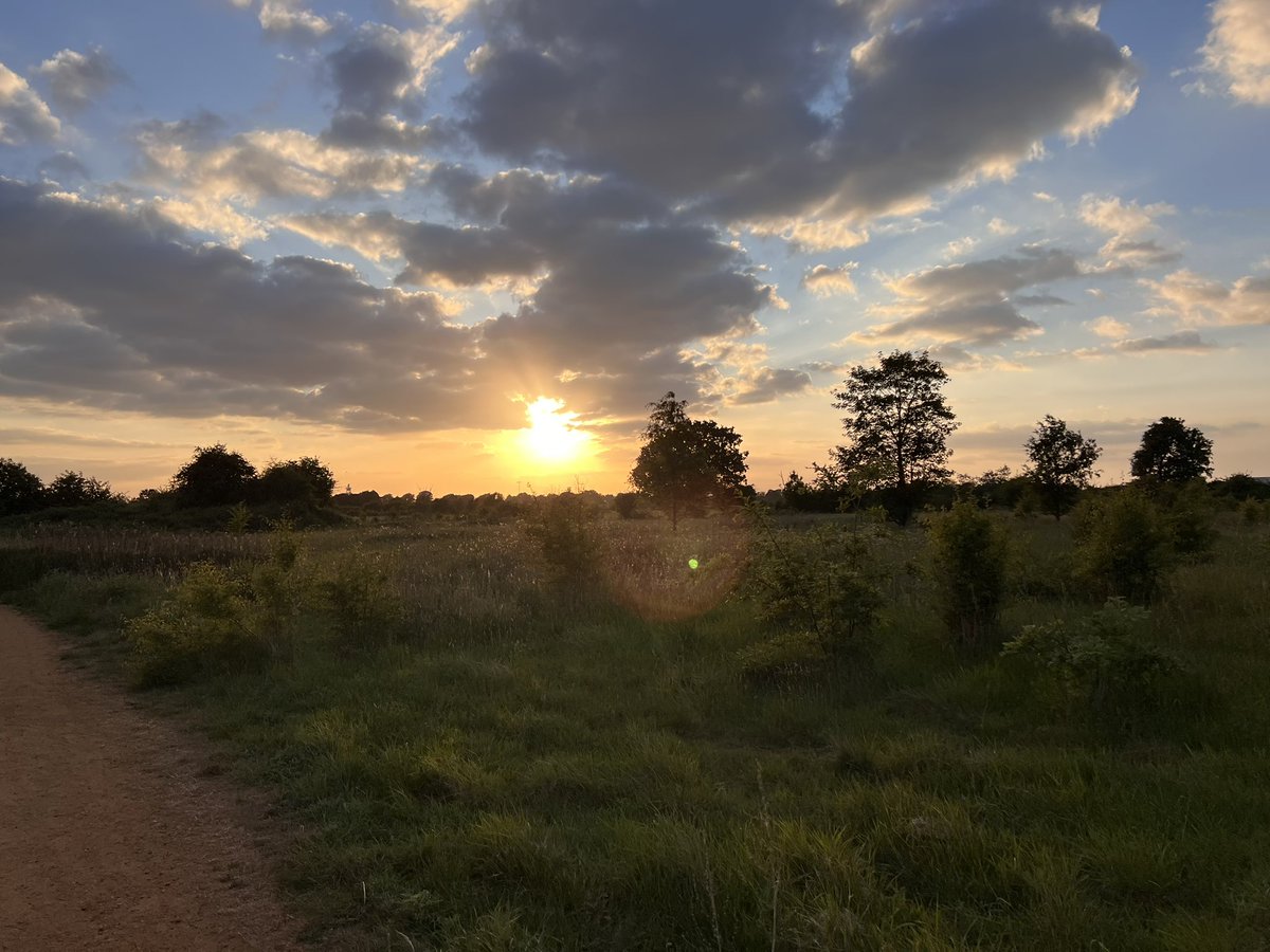 HattonFriends's tweet image. Sunset walks on Hatton Fields
