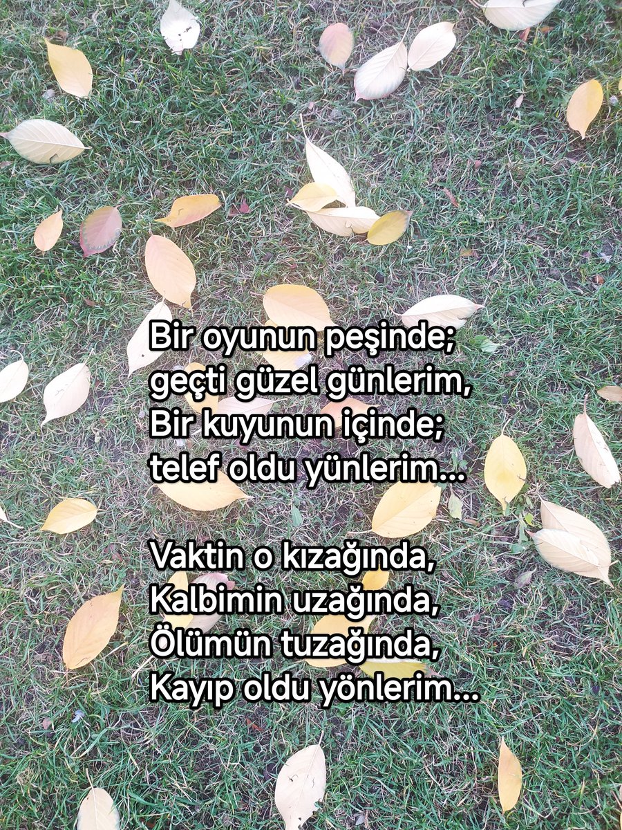 Tahsin Sağlam (@tahsinsaglam) on Twitter photo 