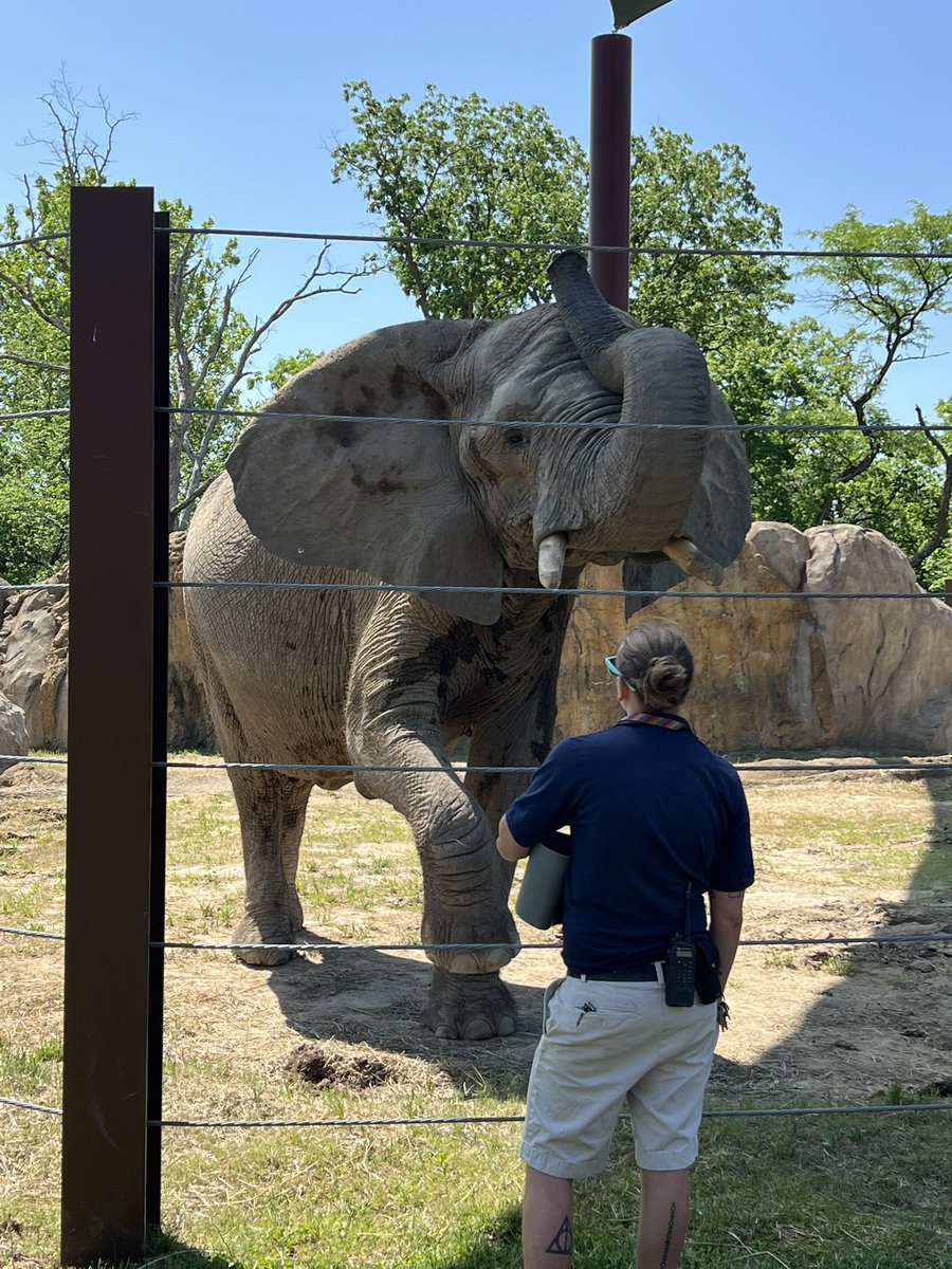 Making Memories❤️monthly outing with the kids. Today was a trip to the zoo!  Absolutely beautiful!  And Steve’s Bday!!