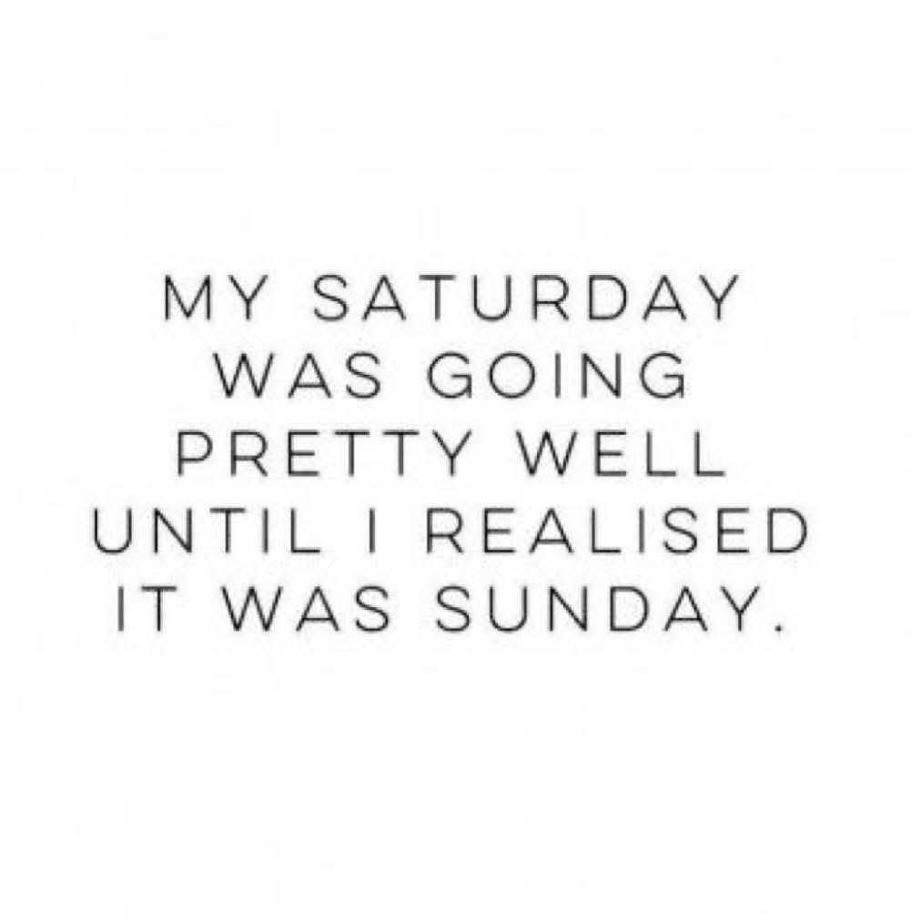 Hey everyone…..how’s your day going?