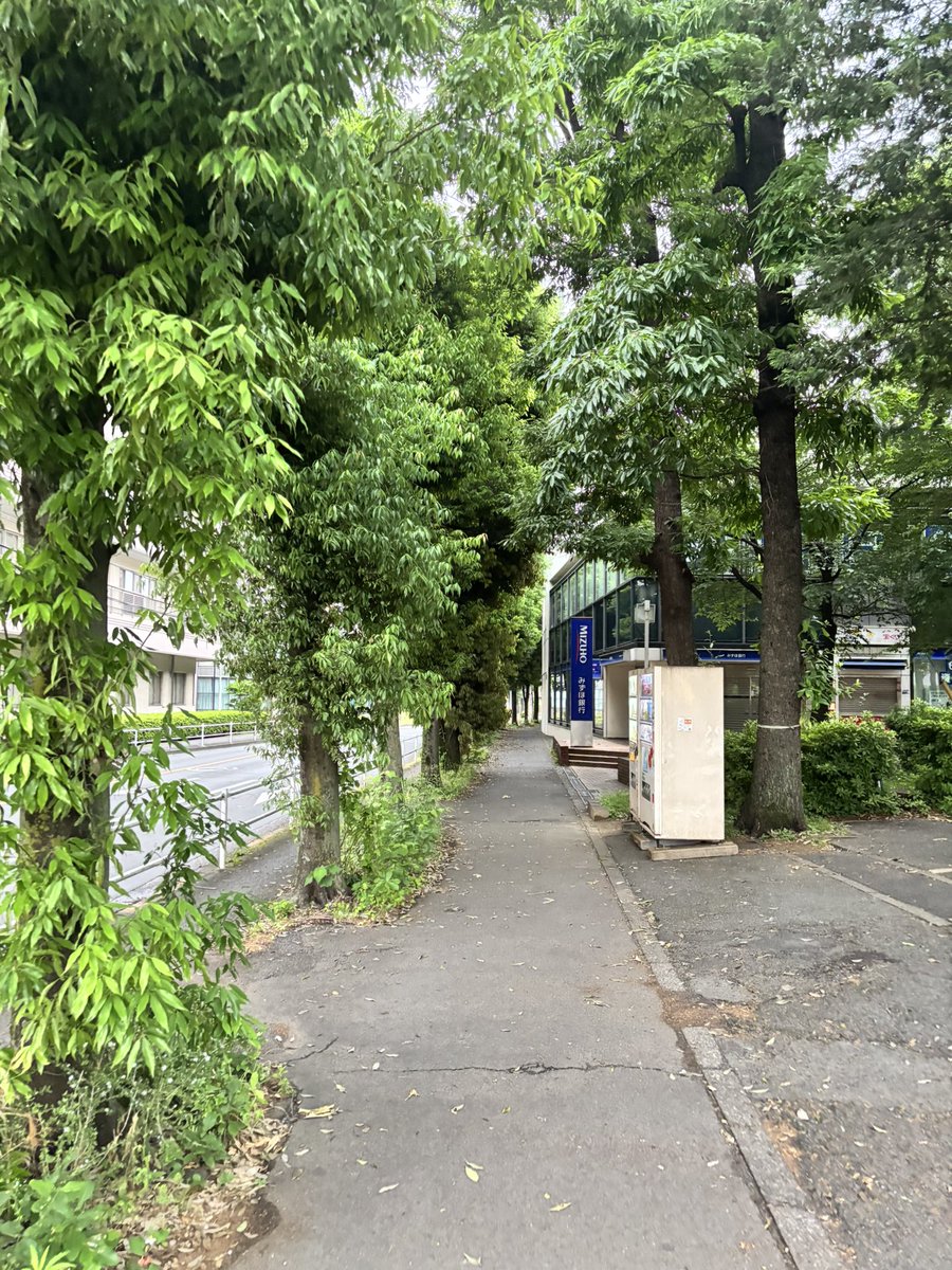 おはようございます！05:00起床
曇り空の東京から。今週も一週間始まりますが、元気にいきましょう！

 #朝活