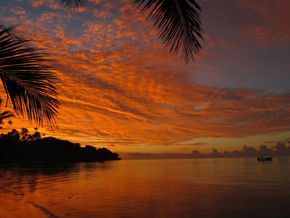 Stacy Jupiter tweet media