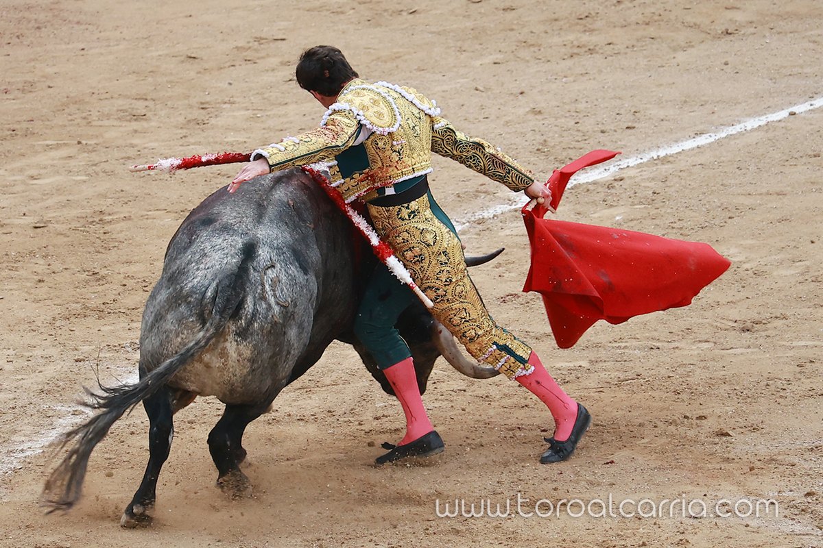 Hoy en <a href="/LasVentas/">Plaza de Las Ventas</a> <a href="/InfoDanielLuque/">Daniel Luque</a> #LasVentas
📸ToroAlcarria