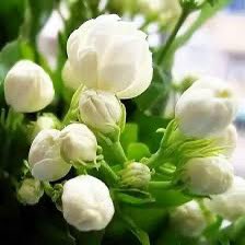 ★ 𝓜𝓞𝓗𝓐𝓝𝓐𝓓★ (@rrjjil2) on Twitter photo كم وردة حمراء وفلة بيضاء أذابت الفوارق ومسحت الدموع وخففت من معاناة الآلام وقسوة الظروف…
<a href="/rrjjil/">★ 𝓜𝓞𝓗𝓐𝓝𝓐𝓓★ مهند🟥</a>
<a href="/rrjjil2/">★ 𝓜𝓞𝓗𝓐𝓝𝓐𝓓★</a> كم وردة حمراء وفلة بيضاء أذابت الفوارق ومسحت الدموع وخففت من معاناة الآلام وقسوة الظروف…
<a href="/rrjjil/">★ 𝓜𝓞𝓗𝓐𝓝𝓐𝓓★ مهند🟥</a>
<a href="/rrjjil2/">★ 𝓜𝓞𝓗𝓐𝓝𝓐𝓓★</a>
