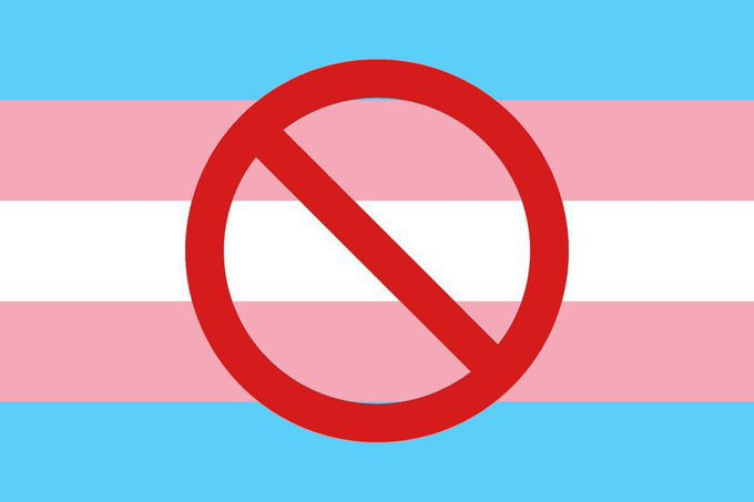 Pope Leo XIV declared that a family is a union between a man and woman.

LGBTQ activists are notably upset.