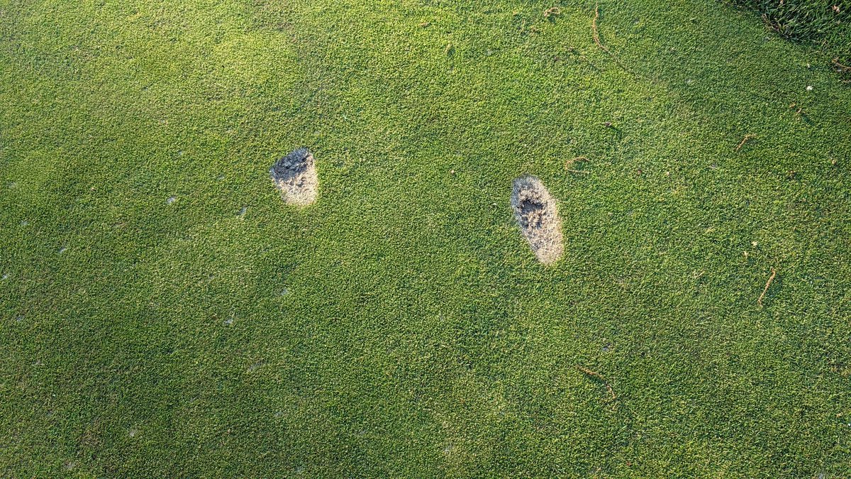 Rich Duggan tweet media