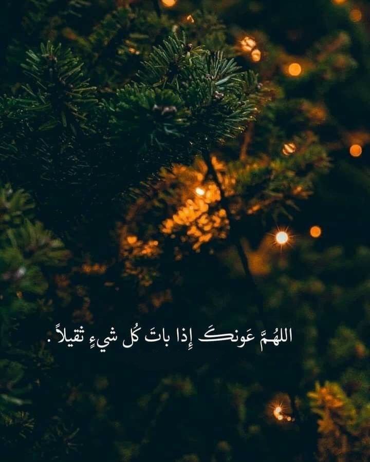 motm2na_'s tweet photo. يا الله🤎.. https://t.co/AiEPzm6JnG