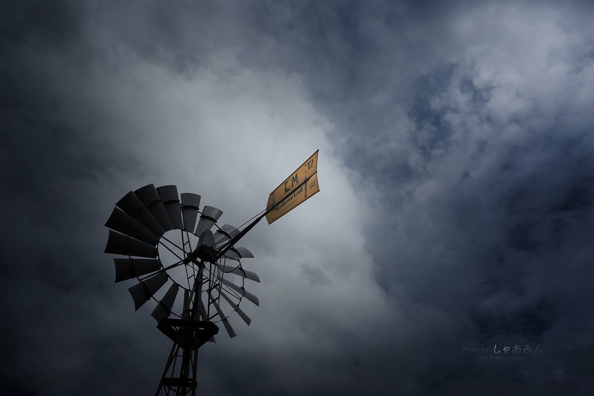 KodaHiroshi's tweet photo. 『風に対う』
#EM5MarkII #MZ1245F4 https://t.co/oPJEP9cV2G