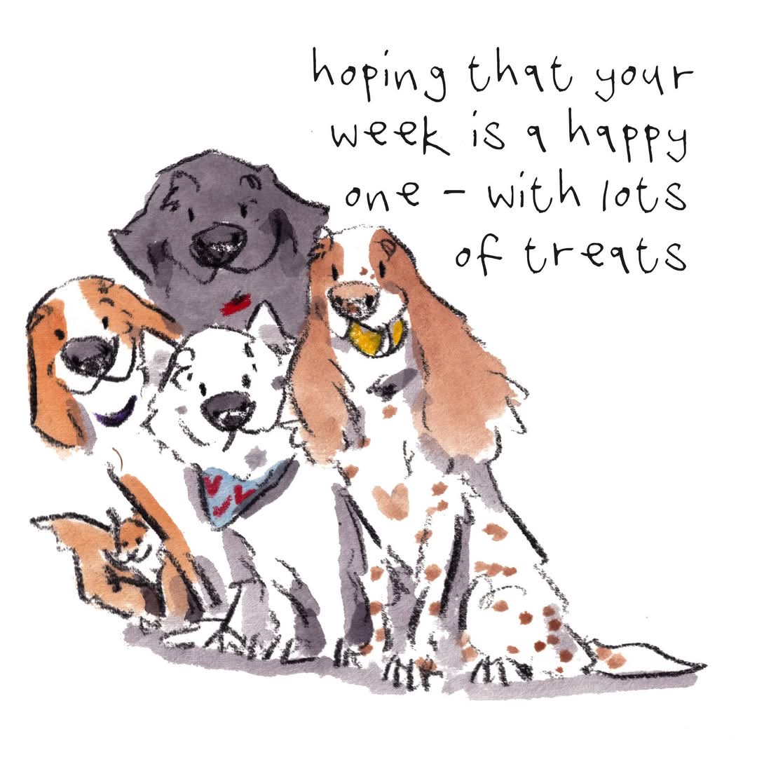 Good night lovely people and lovely dogs. The team hopes that your week is happy, with lots of treats. Sleep well and sweet dreams. I'm wishing you the very best for the week to come.
#hoorayfordogs #boops #beagle #westie #Labrador #springer #redsquirrel