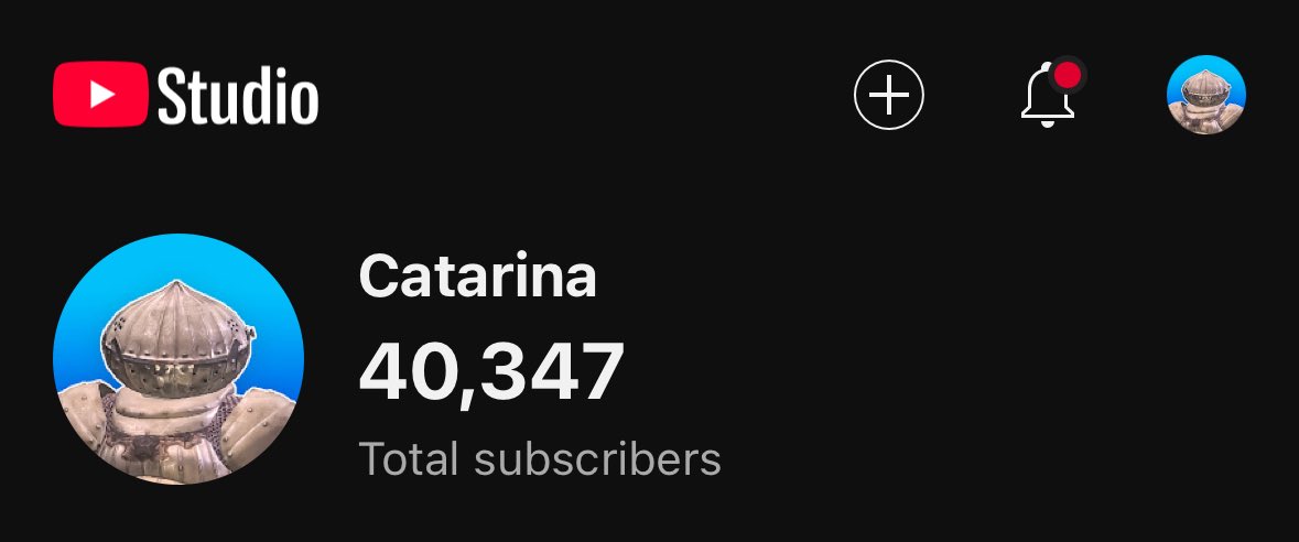 Been celebrating my birthday the past couple days so I missed the exact number…

But 40,000 subscribers on Catarina 🎉