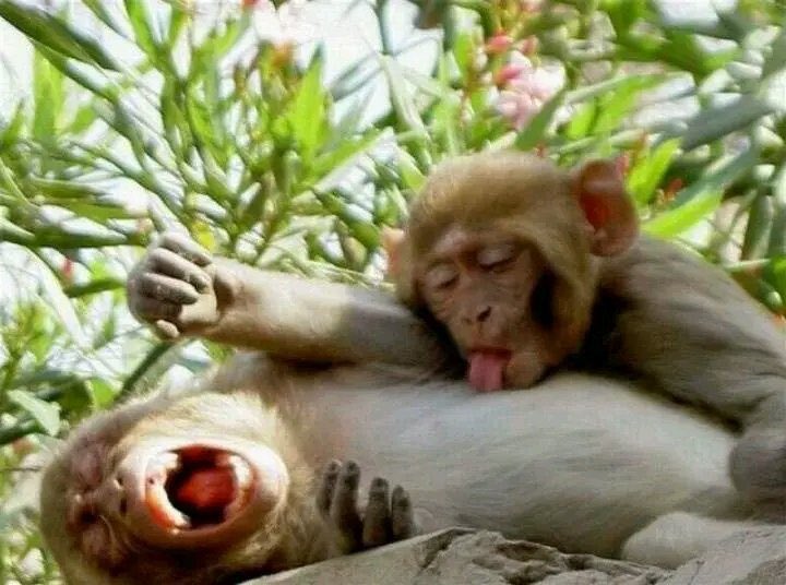 CaesarMc6's tweet image. 2001 girls playing with 1982 men.😂