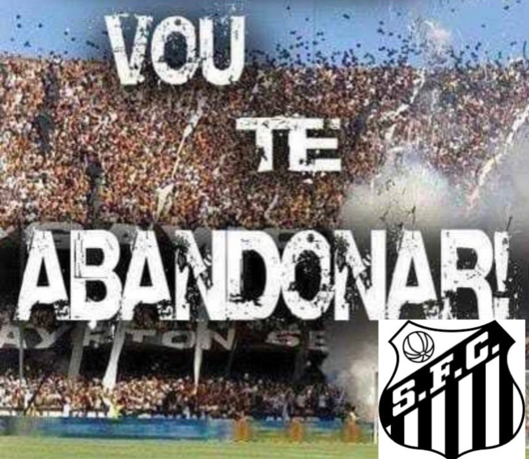 gatinho santista (@gatosantistasfc) on Twitter photo 