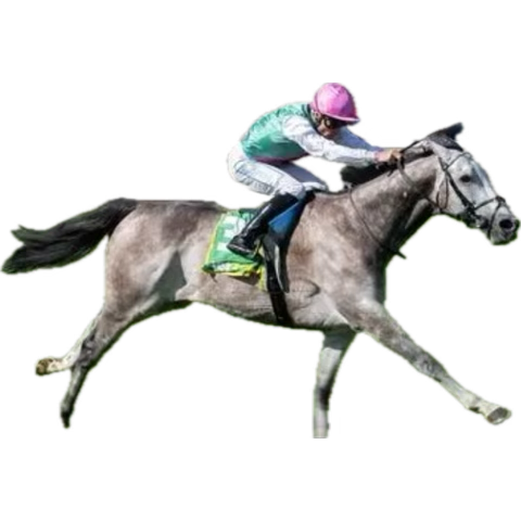 Go on <a href="/JuddmonteFarms/">Juddmonte</a> show you are all class tomorrow &amp; pop Kieran Shoemark up on FOG in the Irish 2000 Guineas. No need for the furore - let him bring it home. 16 wins for <a href="/juddmonte/">juddmonte</a> in 2024 trading at 30%. 33% in 2025. Been fantastic for the operation. You can do this 💚💜🤍