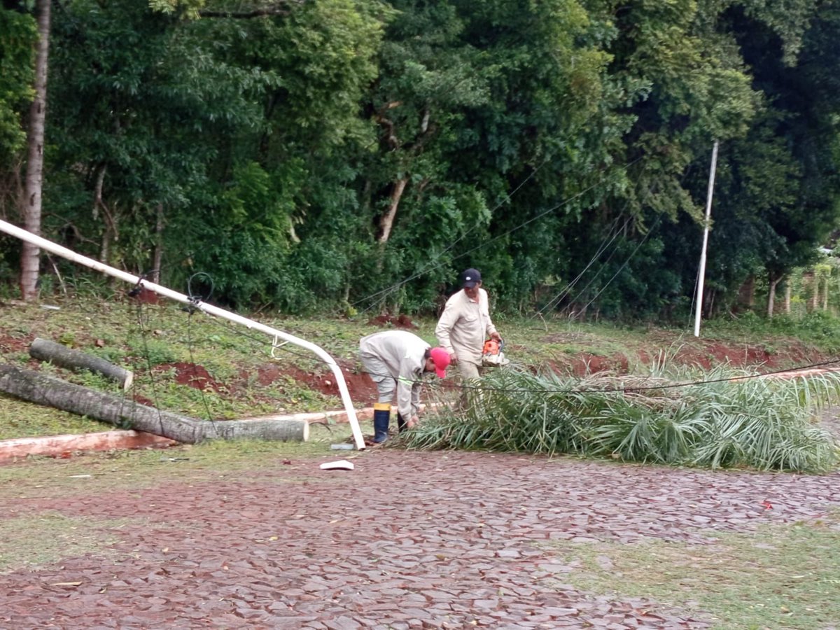 marcossglez's tweet photo. 🌳 El personal municipal está trabajando en la recolección de árboles y ramas caídas por los fuertes vientos.

⚠�� Colaboremos entre todos y estemos atentos a árboles, ramas o postes que puedan representar un riesgo para la seguridad de nuestros vecinos. https://t.co/K4wCvEZ0M9