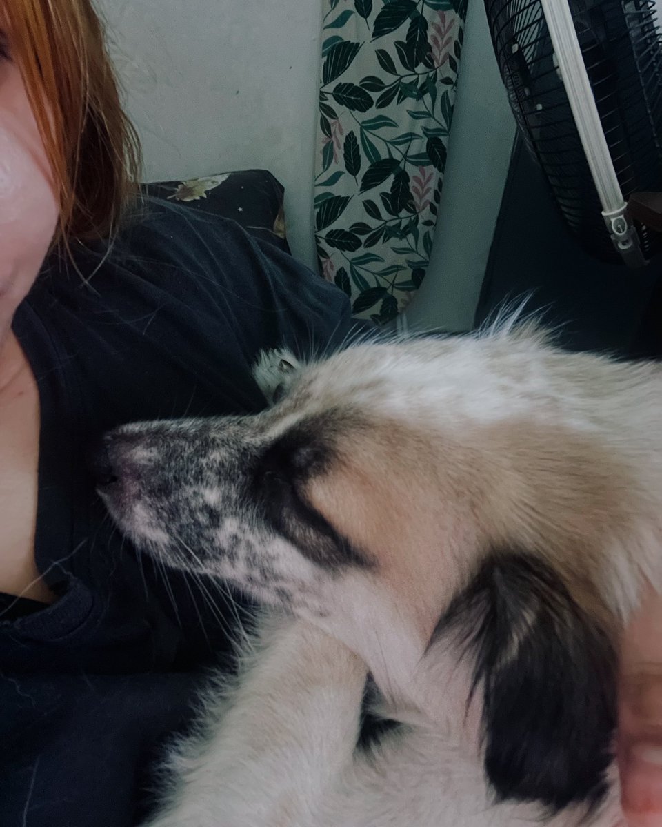 peiyaang's tweet photo. sleep well my baby 😊 https://t.co/TDtRWq2BZ4