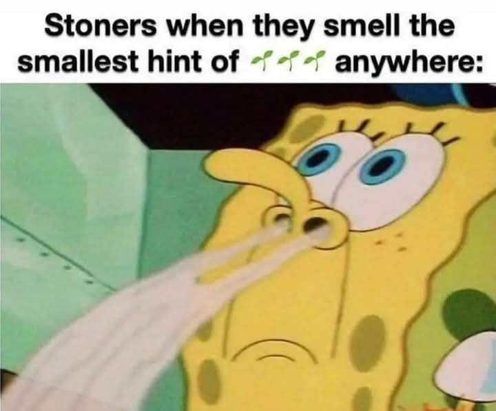 Stoner Jesus™ (@stonerjesus420) on Twitter photo 