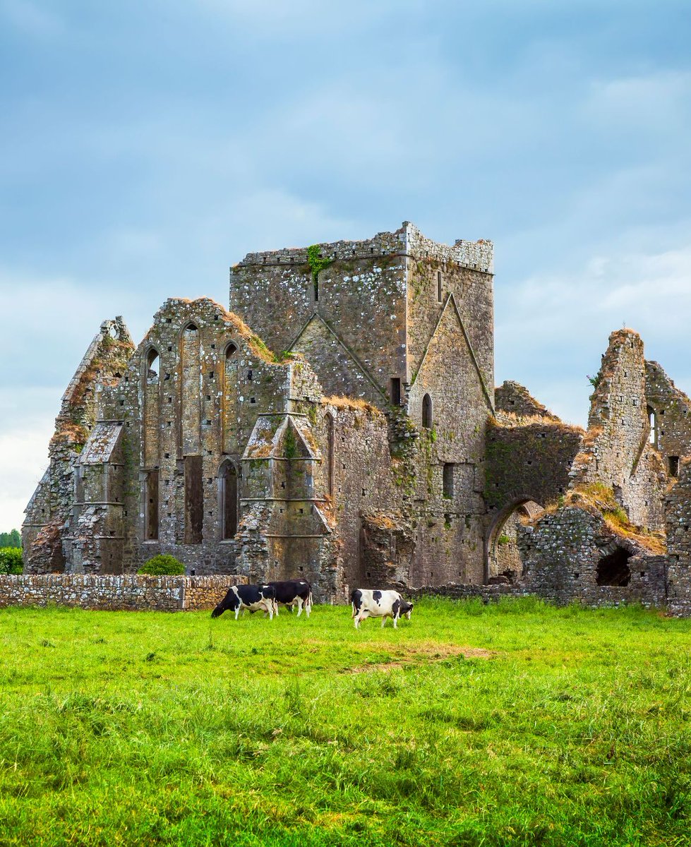 SoEarthen's tweet image. Ireland  #Pasture #AncientRuins