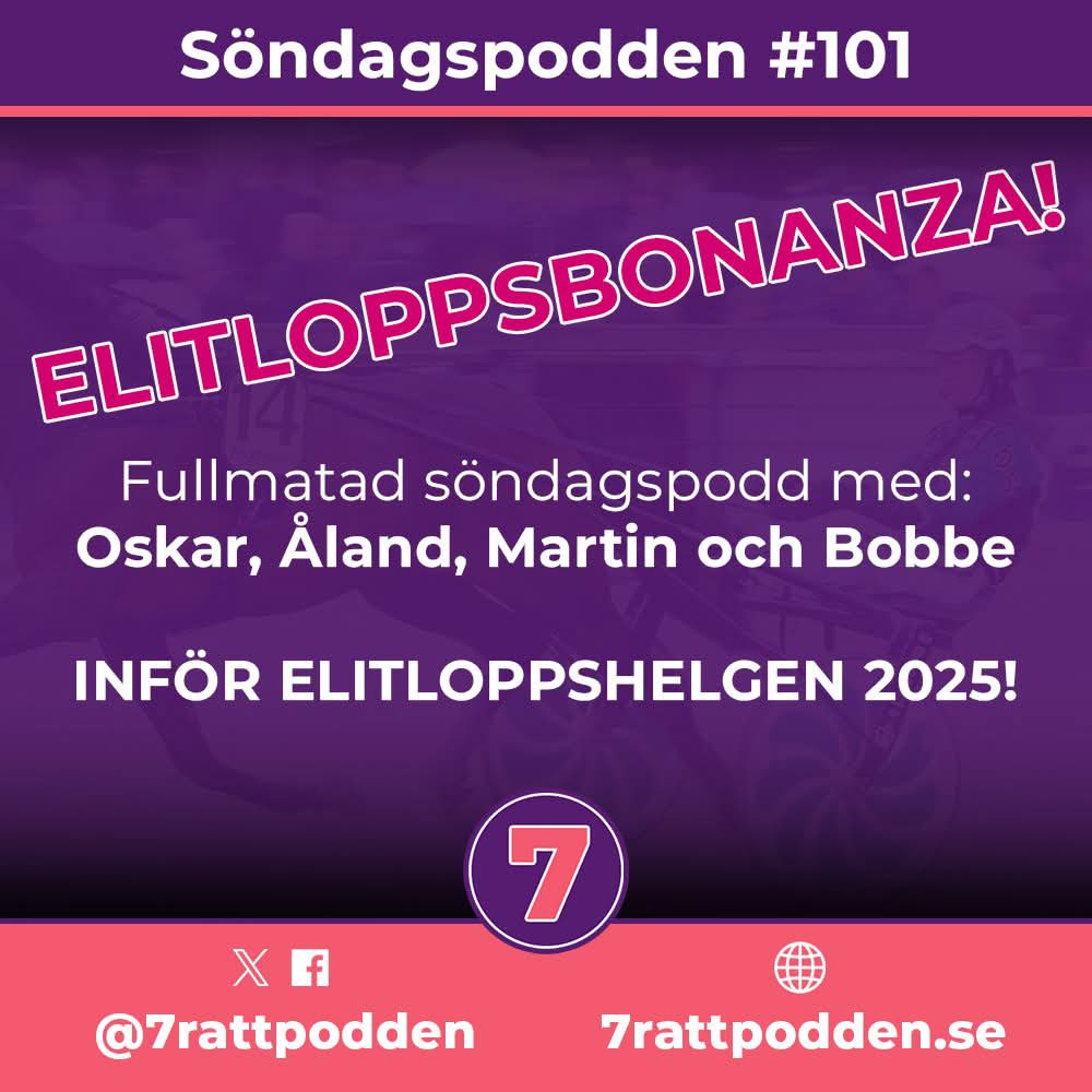 TravPuls tweet media