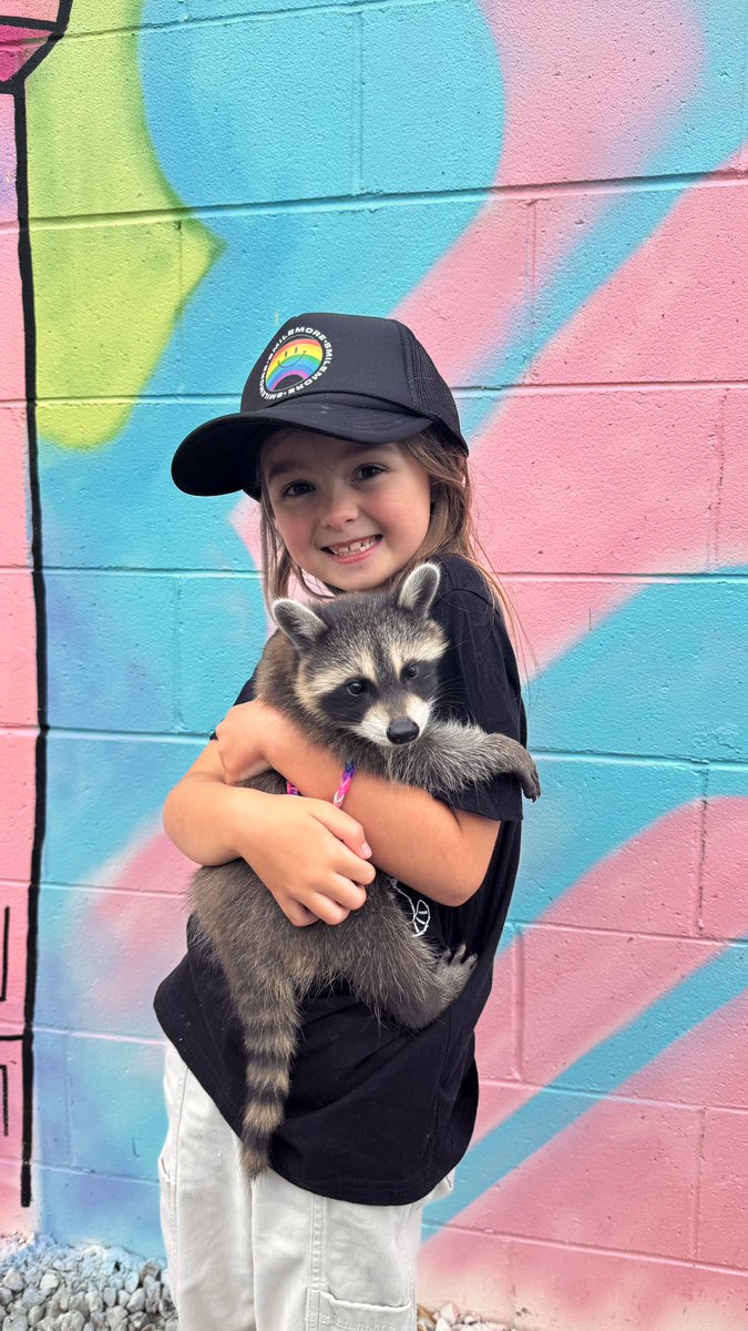 RomanAtwood's tweet photo. Highlight of my day! 😍 🦝 https://t.co/jHhOJQ16Ui