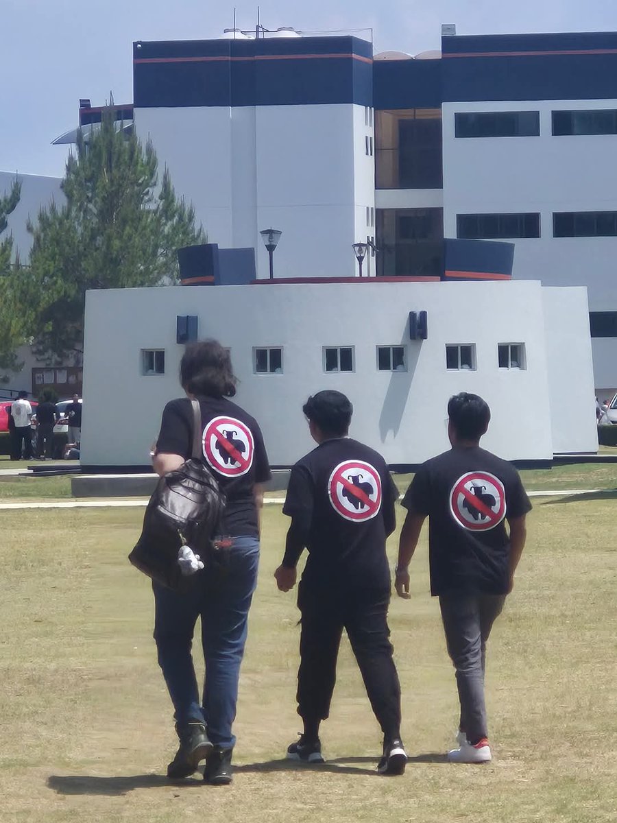 el olor a humedad: ellos juran