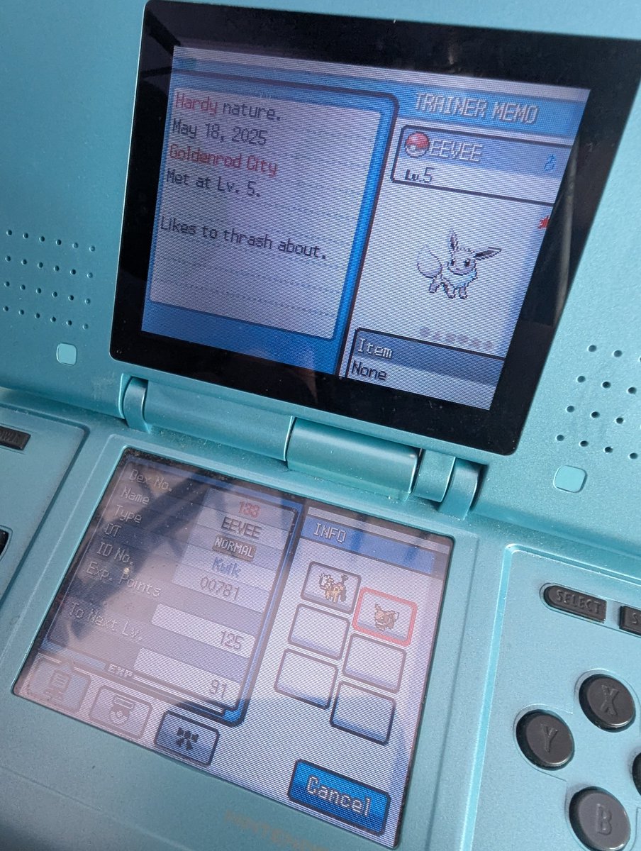 after asking him 10,770 times, Bill finally relented and gave me a shiny Eevee! This is member #1 of the Kanto leg of my Soul Silver SBQ and will become an Espeon!