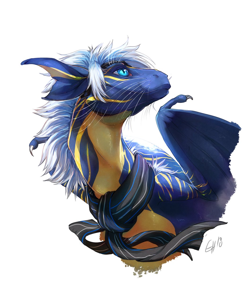 Blue Hasia Photography (@bluehasia) on Twitter photo 