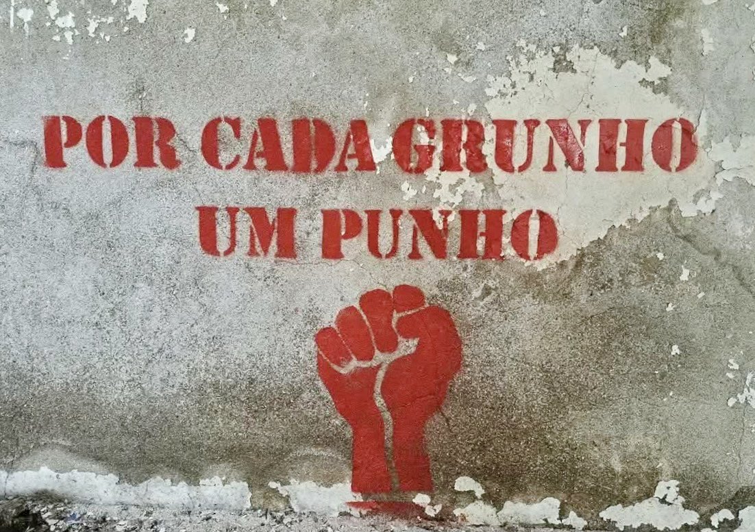 Inês Moreira dos Santos (@inesmorsantos) on Twitter photo 
