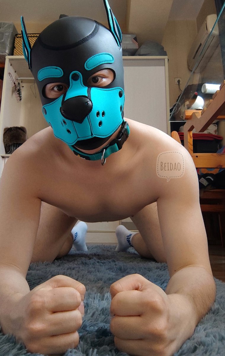 BeiDao (@lucky_beidao) on Twitter photo 