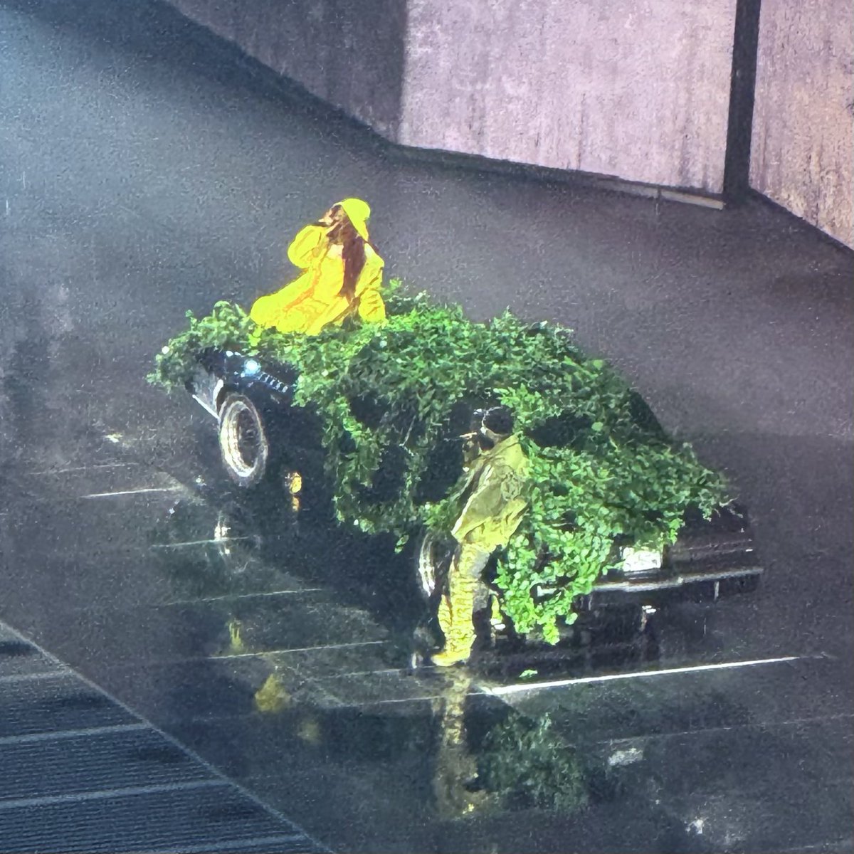 🧬 Xavier Soul 🧬 tweet media