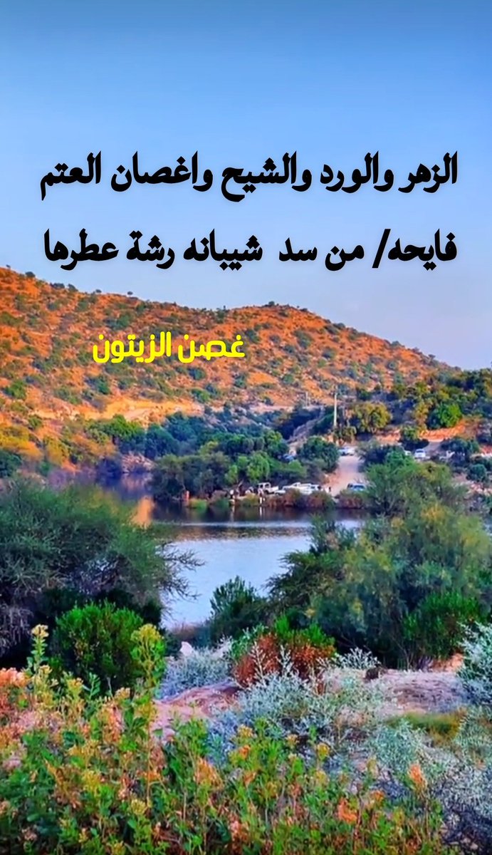 غصن الزيتون tweet media