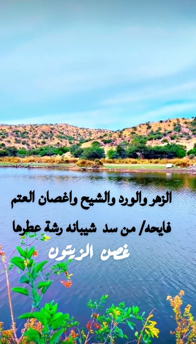 غصن الزيتون tweet media