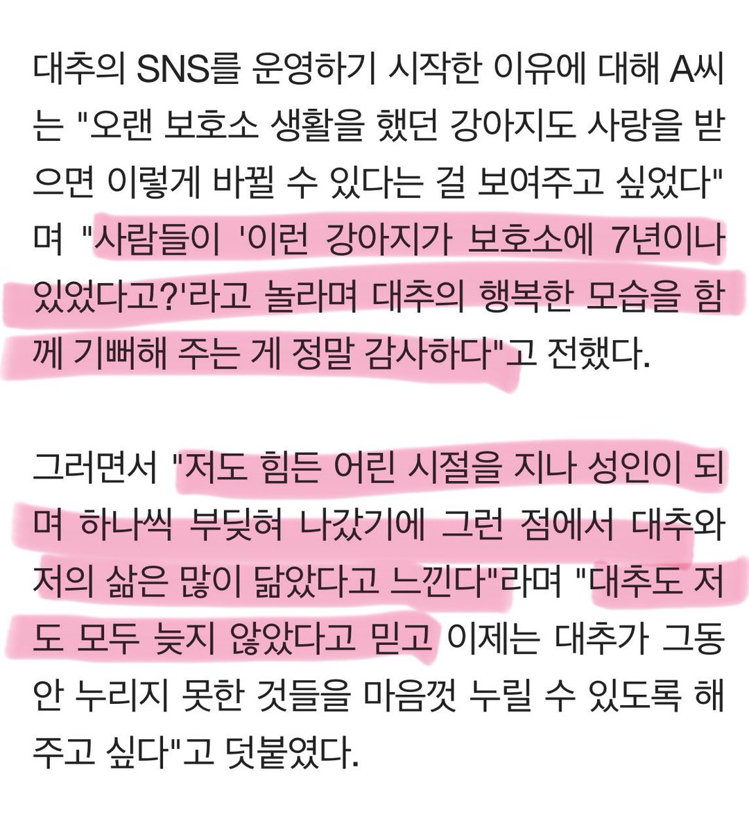 안녕하세요. 
혹시 시간적인 여유가 되실 때, 이 기사에 좋은 말 한마디씩 남겨 주시면 진심으로 감사하겠습니다. 
악플 내용은 감내하겠지만
진짜 인터뷰에 응한 취지가 흐려지는 것 같아 속상합니다. 
탐라 피곤하게 해 드려 죄송합니다.
부탁드려요.
견주 올림
naver.me/59Um6rer