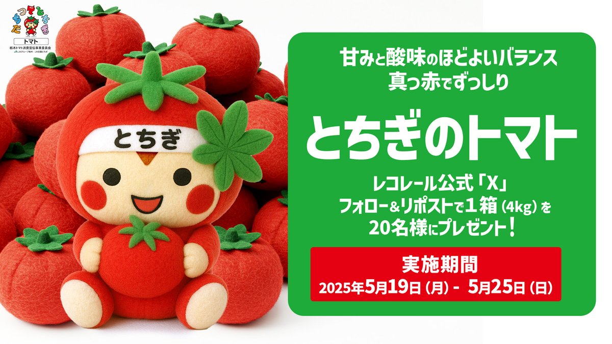 recorrer_jfn's tweet photo. ／
フォロー&amp;リポストで
1箱4kgを20名様に #プレゼント🎁
甘味と酸味の程よいバランス😋
栃木県産の真っ赤でずっしりした #とちぎのトマト🍅
＼

🔻応募方法
1⃣@recorrer_jfnをフォロー
2⃣この投稿をリポスト
⚠️5/25(日)23:59〆切

🔻詳細はこちら💁🏻‍♂️
https://t.co/c8ZfZhhKEv
#レコレール #フォロリポ https://t.co/GmRnwfSSdo