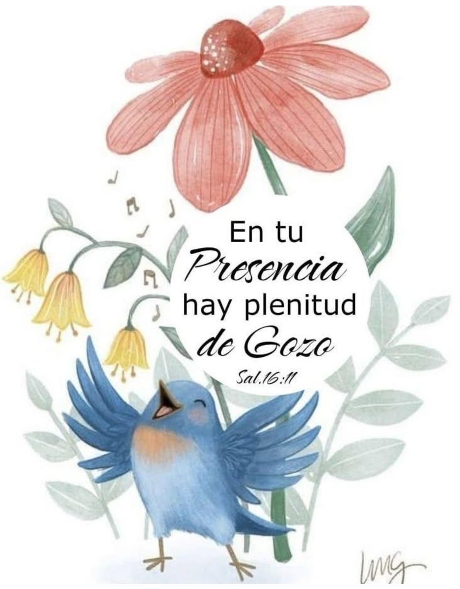 olga cecilia rincon (@olgaceciliarin1) on Twitter photo 