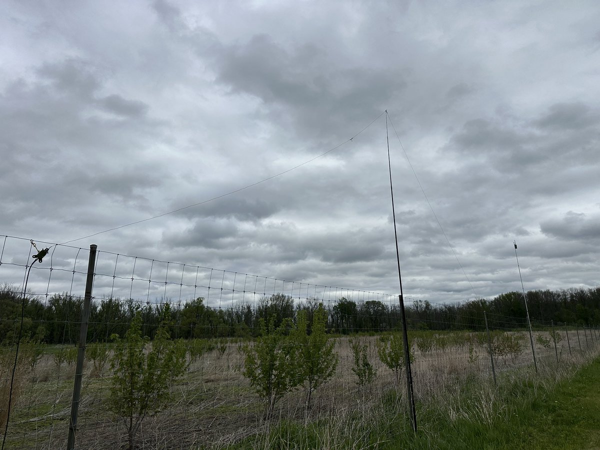 RJ McKenzie 🇺🇸 tweet media