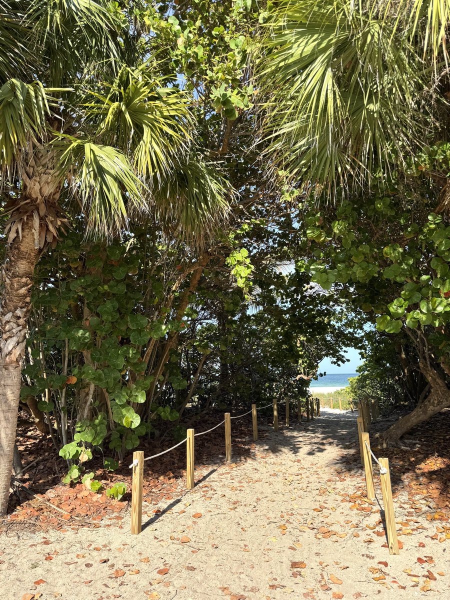 SashaEats's tweet image. #SundayFunday at the beach 🏖️😎🌊

#LoveFL #SunshineState #Florida