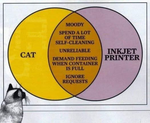 Actually, the cat is more user friendly