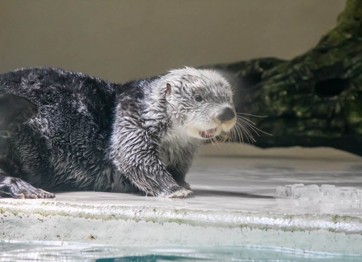 ℳ❀ (@z3_uy) / Posts / X