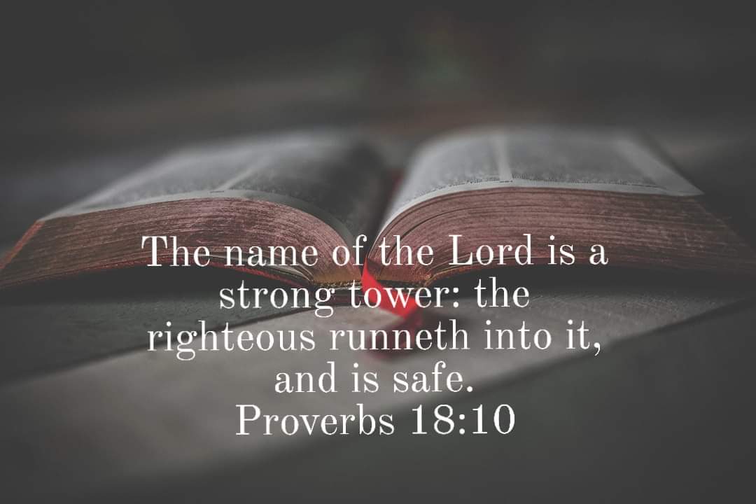 Tracy Killinger 🇺🇸 tweet media