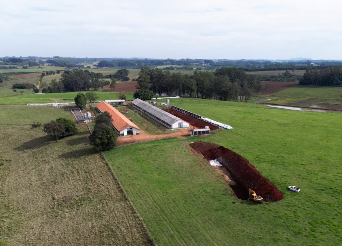 🚨 Bird Flu Hits #Brazil's Poultry Industry
📍 Montenegro, Brazil | May 18, 2025
Brazil confirms its first commercial #BirdFlu  case, prompting China, EU &amp; others to ban chicken imports.
1.7M eggs destroyed. Authorities racing to contain spread.
 #FoodSafety #Guidechem