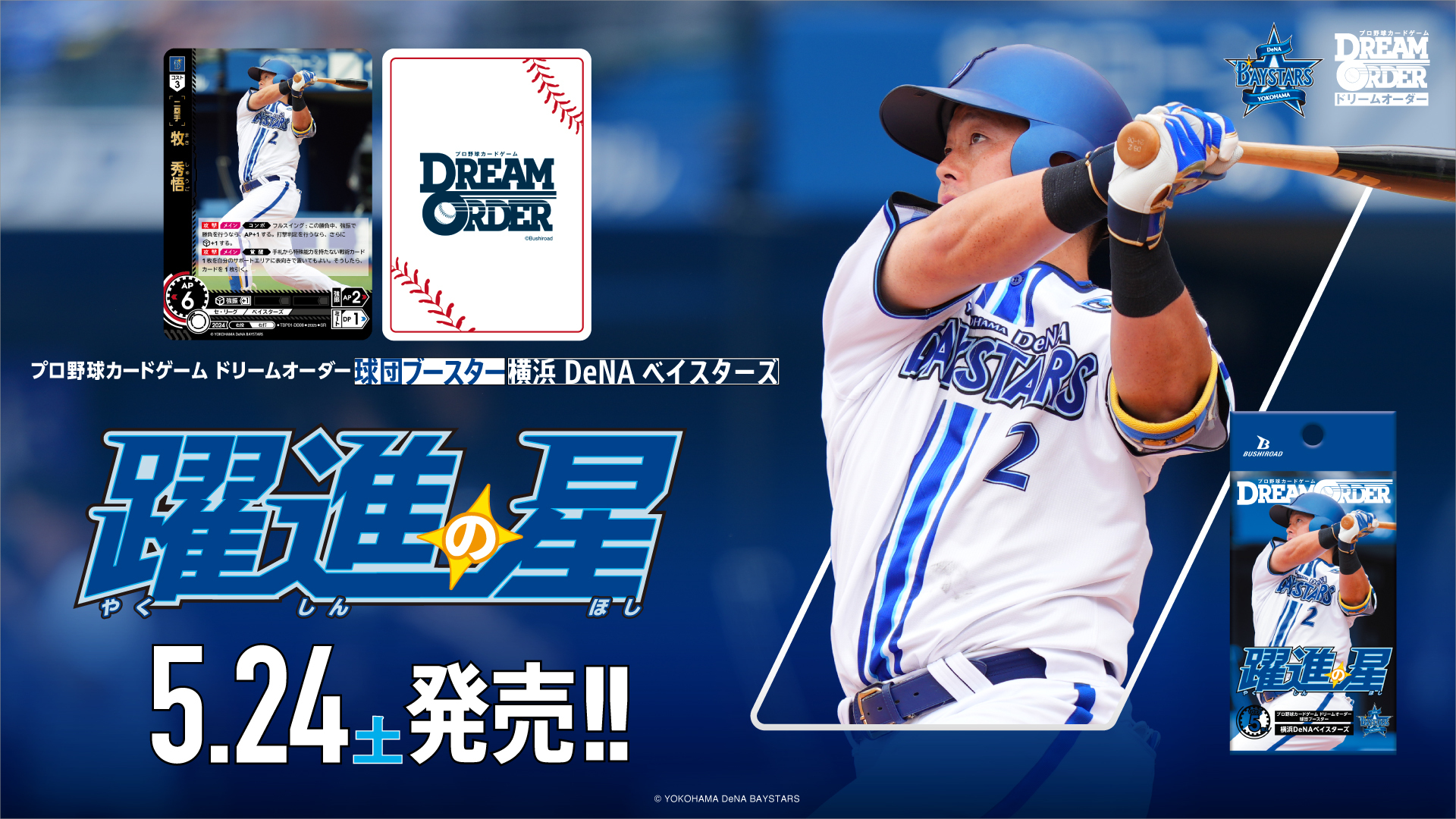 球団ブースター 東京ヤクルトスワローズ「夢の共燕」 - PRODUCTS