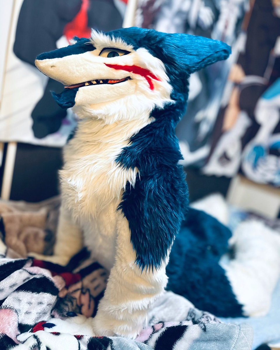 #ケモノをみて今週もがんばりマンデー
📸✨️<a href="/inusimahiro11/">犬縞</a>