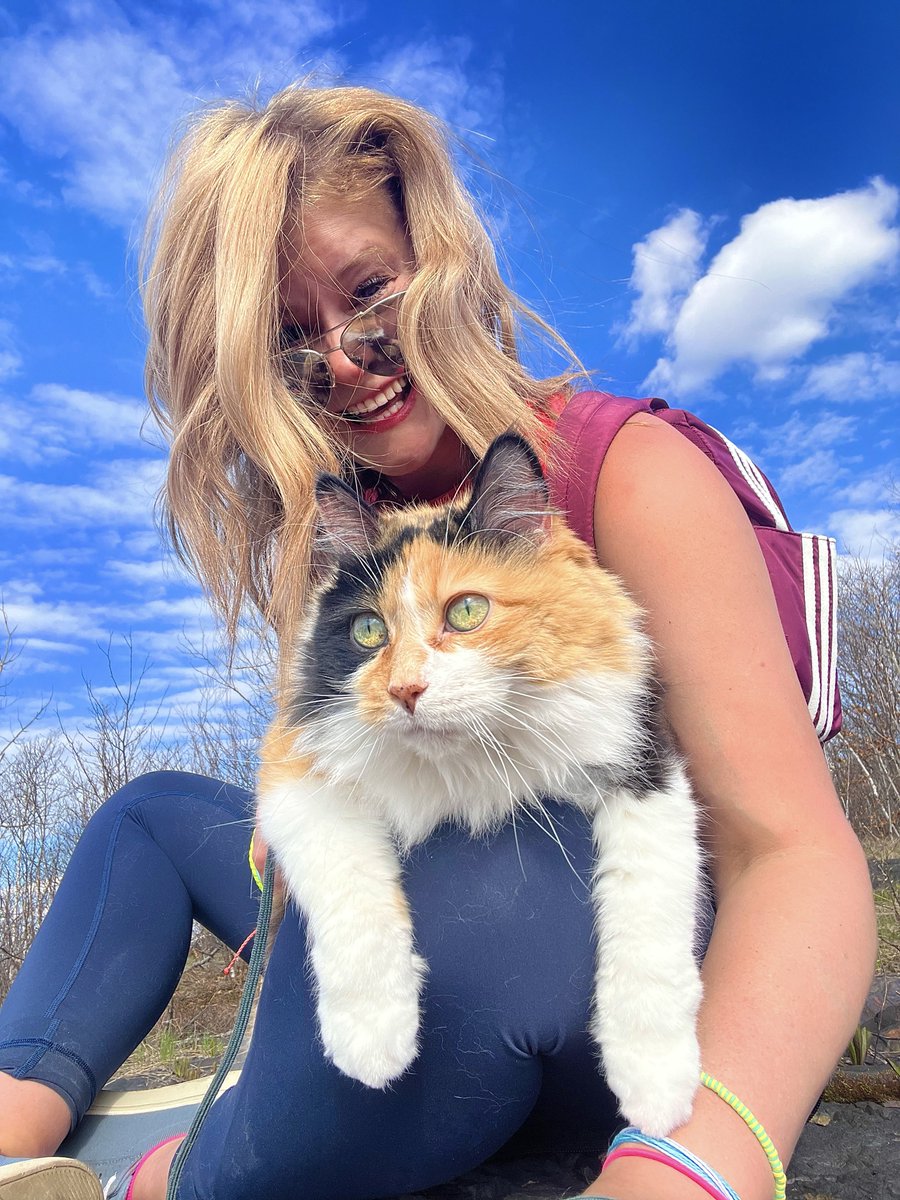 HeyItsMeMissJT's tweet photo. Maddie: "I can't take this kid anywhere!" Me: "Buckle up!" 🤣 #MayLongWeekend #Hiking #AdventureCats I hope everyone is having a great long weekend! #OutdoorFitness #LotsOfLaughs #EasyLikeASunday #CalicoCatLove #MadCat #TailsAndTrails 🥾🌲🐈💜☀️🎒 https://t.co/asgrUxE8oU