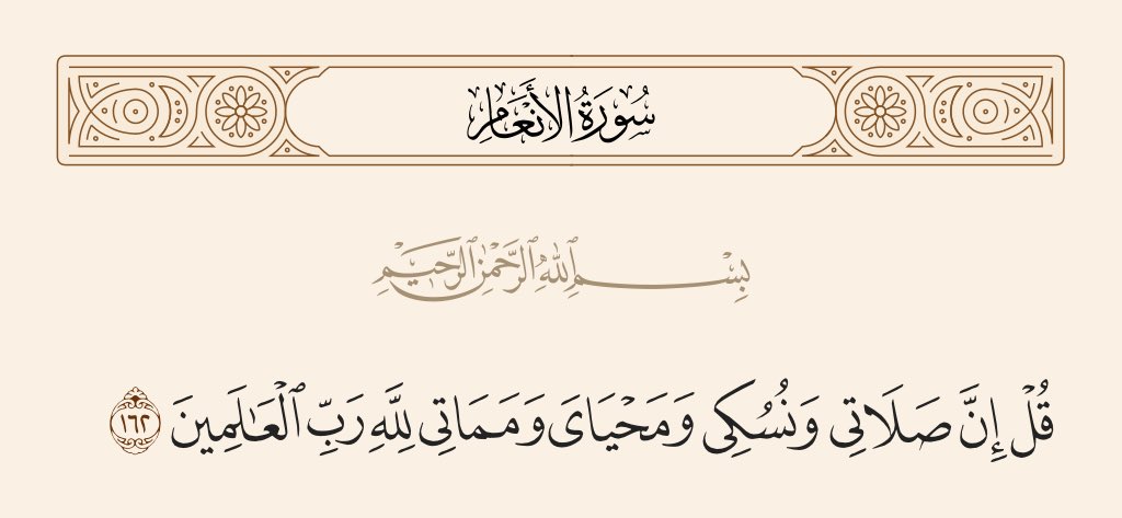 بّﺂ̣̥̐ڗېﺔ ﺂ̣̥̐ﻟ̣̣دّﮪرّ 💚🕊🌾🎖 tweet media