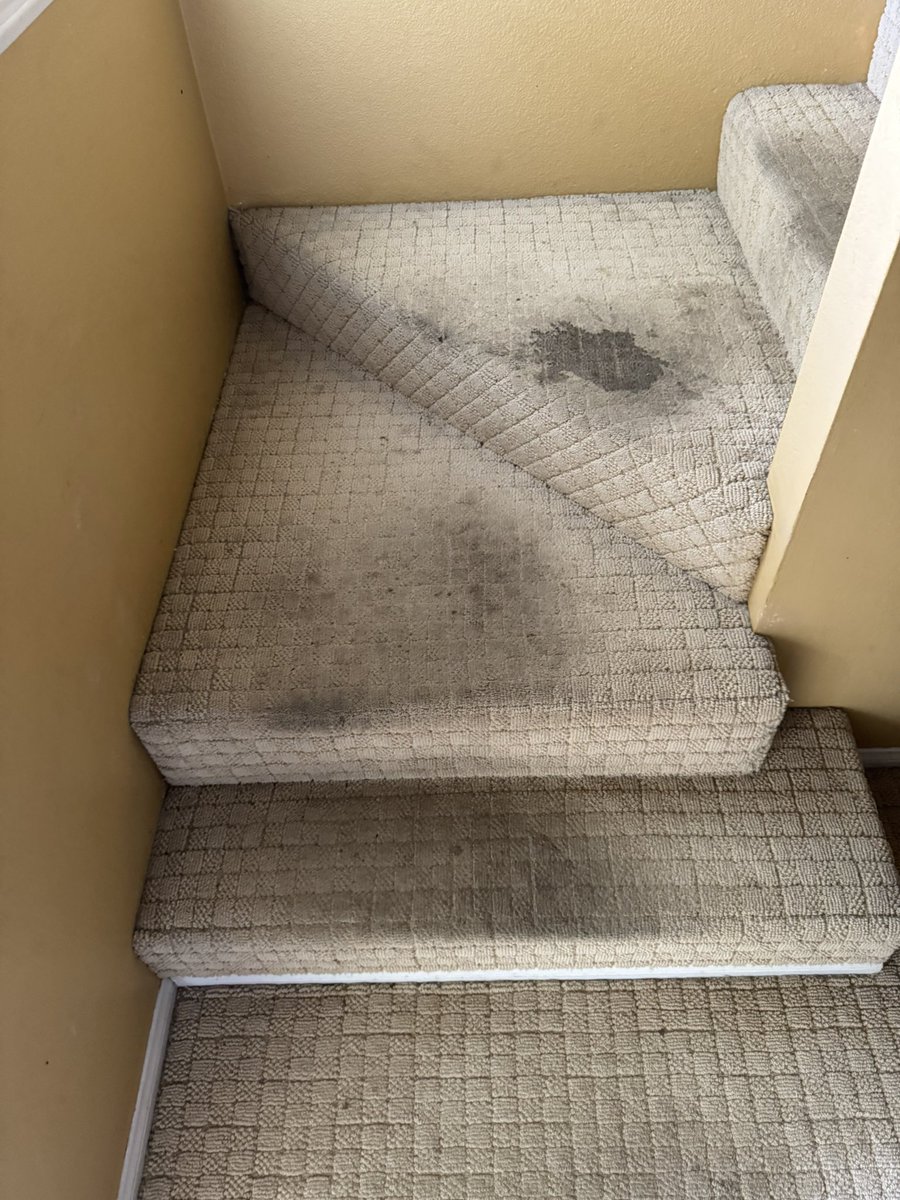 EdsCleaningHI's tweet photo. Let us help you maintain the beauty of your home! Our professional team specializes in cleaning carpeted stairs, ensuring they look their best. Stay tuned for updates and a stunning after picture! #CarpetCleaning #HomeCare #CleanStairs #ProfessionalService #BeforeAndAfter #Hawaii https://t.co/cmeLsJe1yY